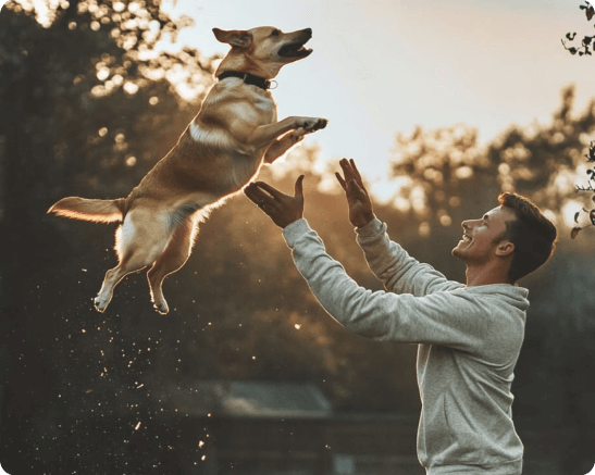 Hond die in de lucht in de armen van zijn baasje springt